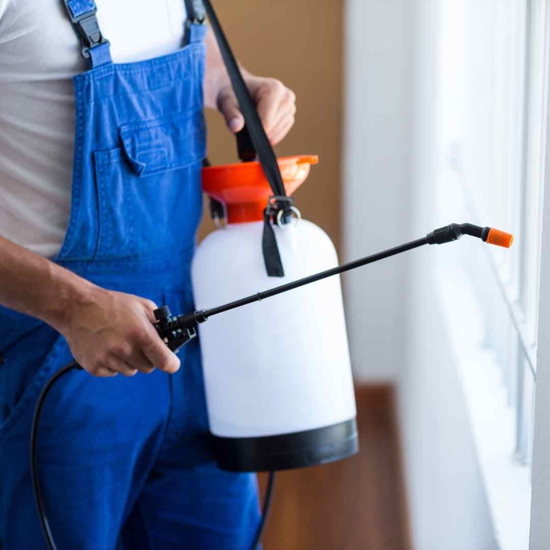 pest control professional